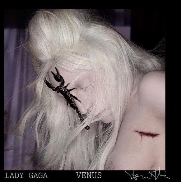 Lady Gaga, Venus cover