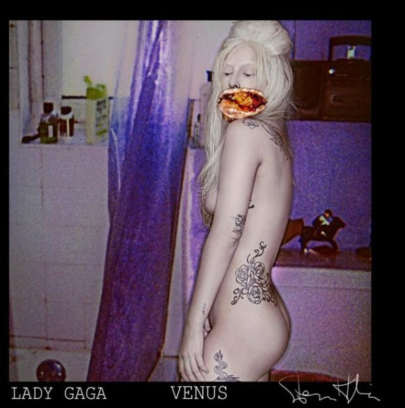 Lady Gaga, Venus cover